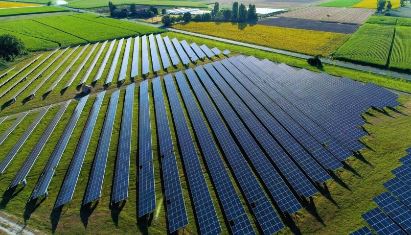 Amazon solar farms